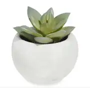 Mini succulente artificielle en pot