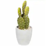 Cactus artificiel H.21cm
