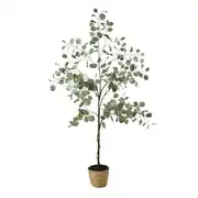 MARY - Eucalyptus artificiel et pot tressé H176