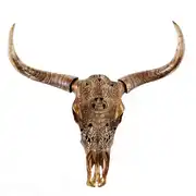 Wild - Trophée mural tête de buffle sculpté marron, 73x73 cm