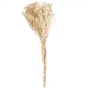 Bouquet de gypsophile séchée beige