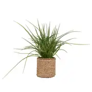 VEGETAL BAY - Plante artificielle et pot en fibre végétale beige