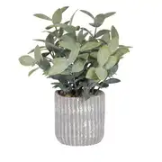 JACQUES - Succulente artificielle et pot noir
