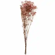 ROSY - Bouquet de fleurs séchées vieux rose