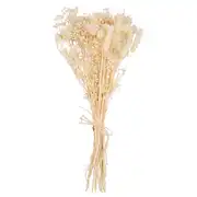 EVA - Bouquet de fleurs séchées écrues