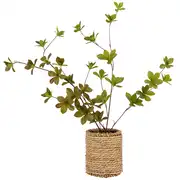 AYLINE - Plante artificielle et pot en rotin
